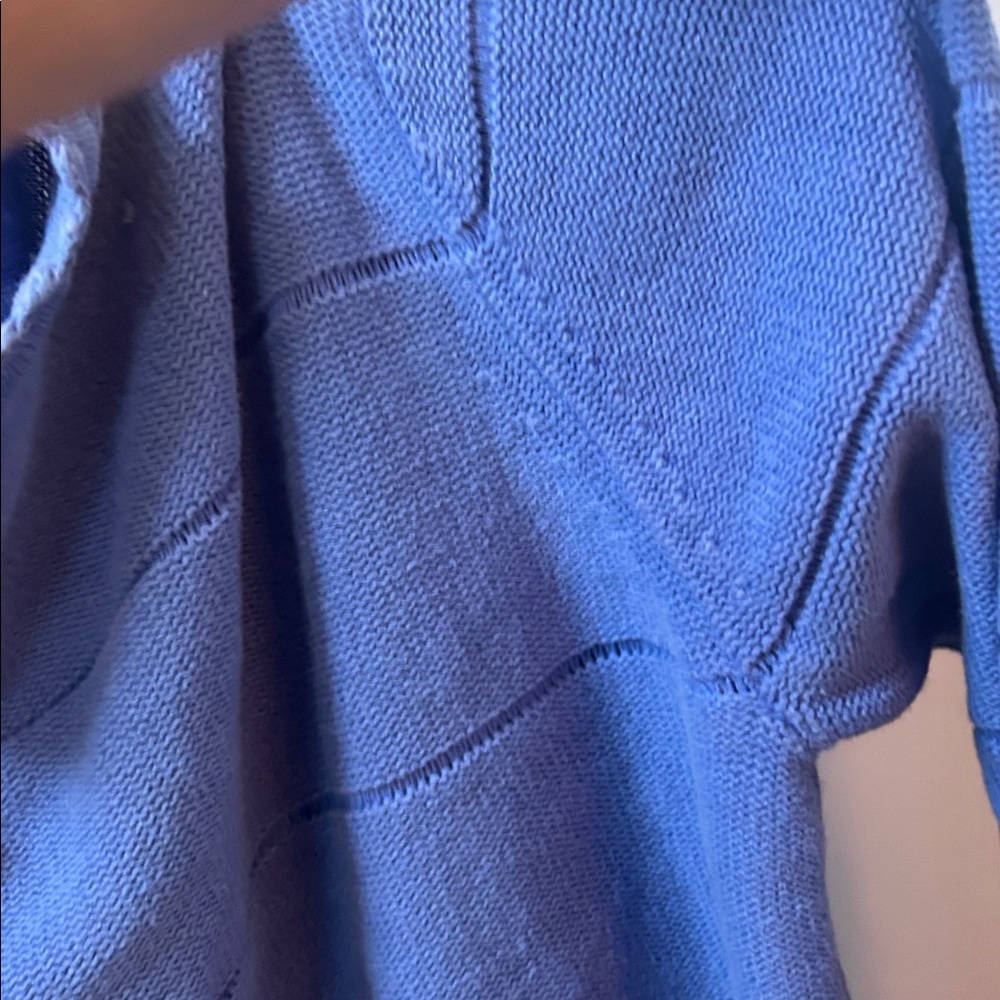 Classic Elements Blue Cardigan Ladybug Daisy Deco… - image 7